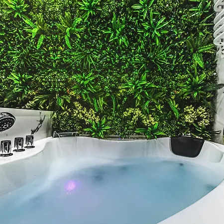 Przytulne Gniazdko W Centrum Wroclawia 公寓 弗罗茨瓦夫